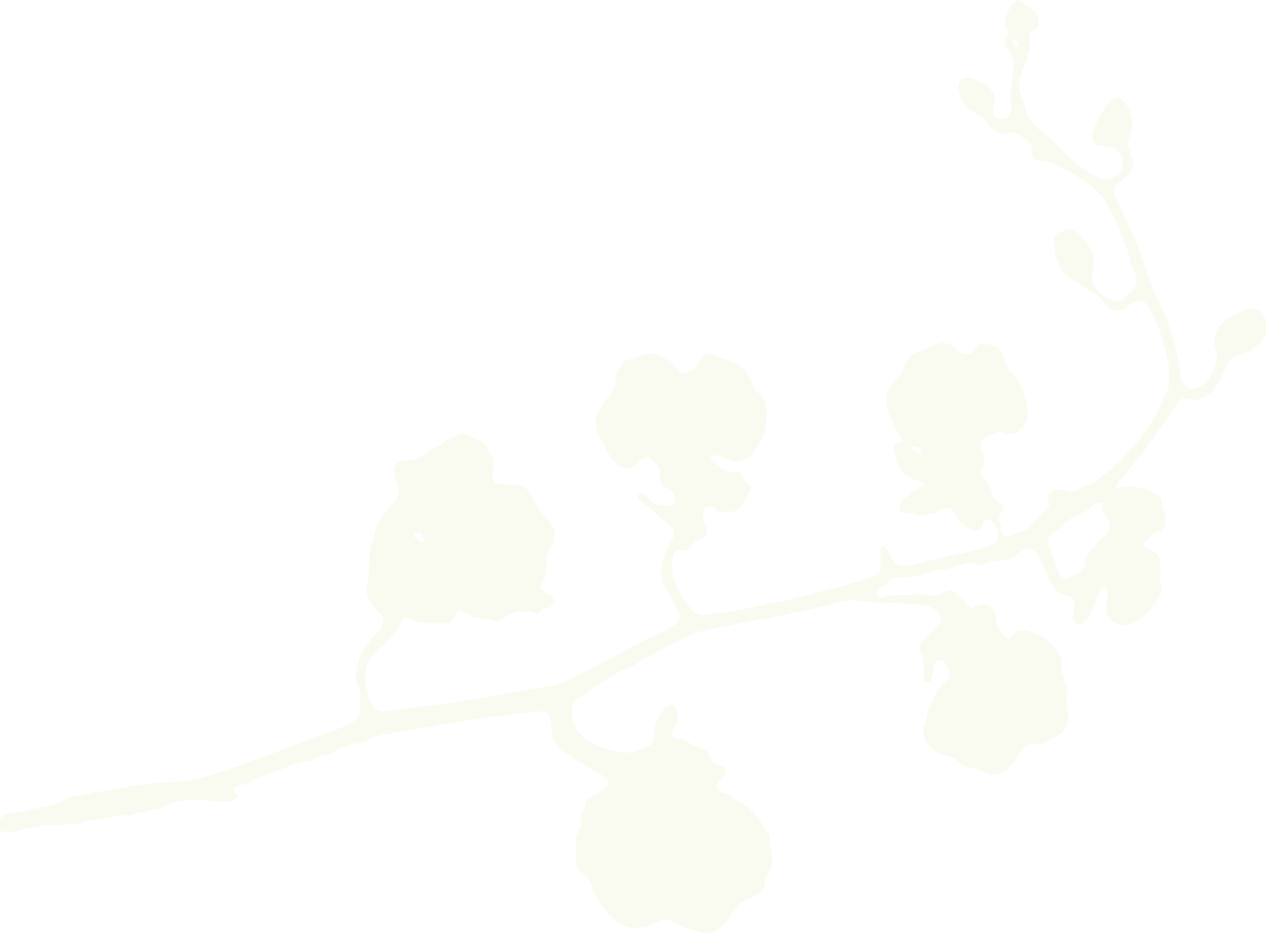 Terra Incognita orchid mark